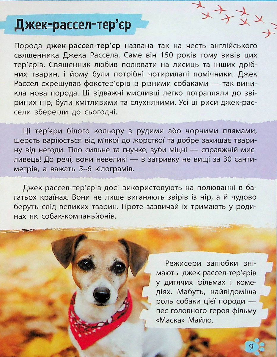 Hidden Product Image 9