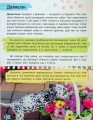 Фото Мініенциклопедія. Хатні улюбленці 12
