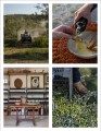 Фото Living Wild. New Beginnings in the Great Outdoors 7