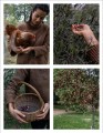 Фото Living Wild. New Beginnings in the Great Outdoors 11