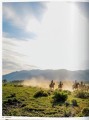 Фото Great Escapes USA. The Hotel Book 8