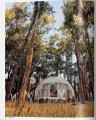 Фото Great Escapes Latin America. The Hotel Book 6