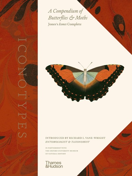 Фото Iconotypes. A compendium of butterflies and moths. Jones’s Icones Complete