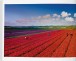 Фото Stephen Wilkes. Day to Night 10