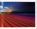 Фото Stephen Wilkes. Day to Night 11