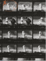 Фото Lawrence Schiller. Marilyn & Me 4