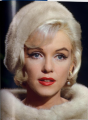 Фото Lawrence Schiller. Marilyn & Me 11