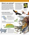 Фото Knowledge Encyclopedia Animal! 2
