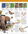 Фото Knowledge Encyclopedia Animal! 3