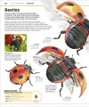 Фото Knowledge Encyclopedia Animal! 4