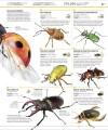 Фото Knowledge Encyclopedia Animal! 5