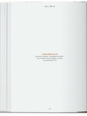 The Book of Palms