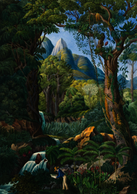 The Book of Palms