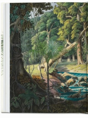 The Book of Palms