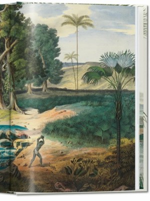 The Book of Palms