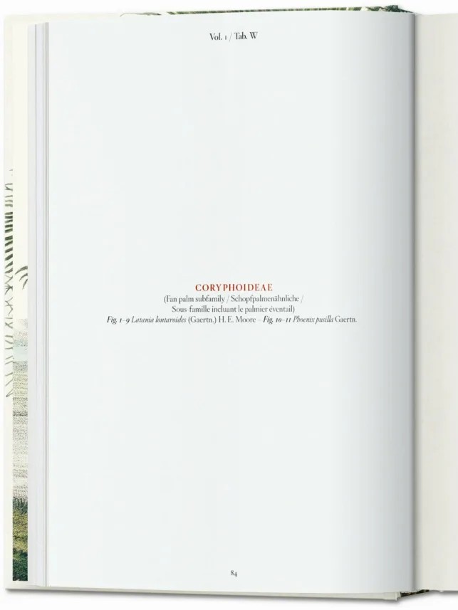 Hidden Product Image 12