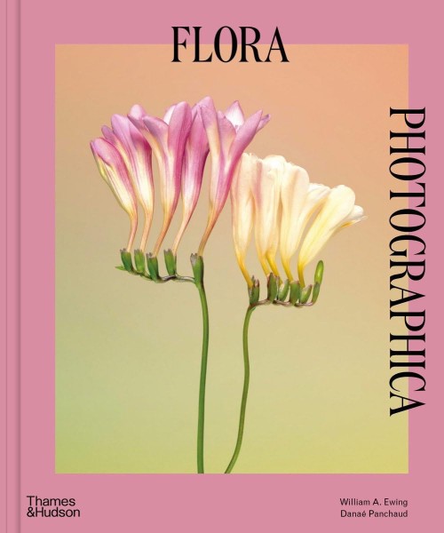 Фото Flora Photographica: The Flower in Contemporary Photography