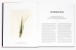 Фото Flora Photographica: The Flower in Contemporary Photography 4