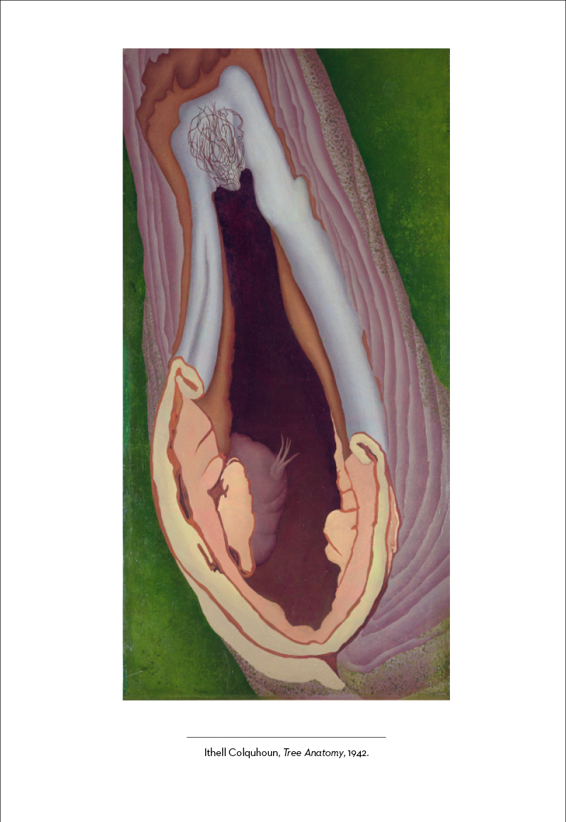 Hidden Product Image 15