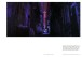 Фото Liam Wong: After Dark 12