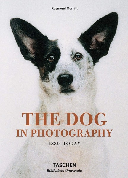 Фото The Dog in Photography. 1839-Today