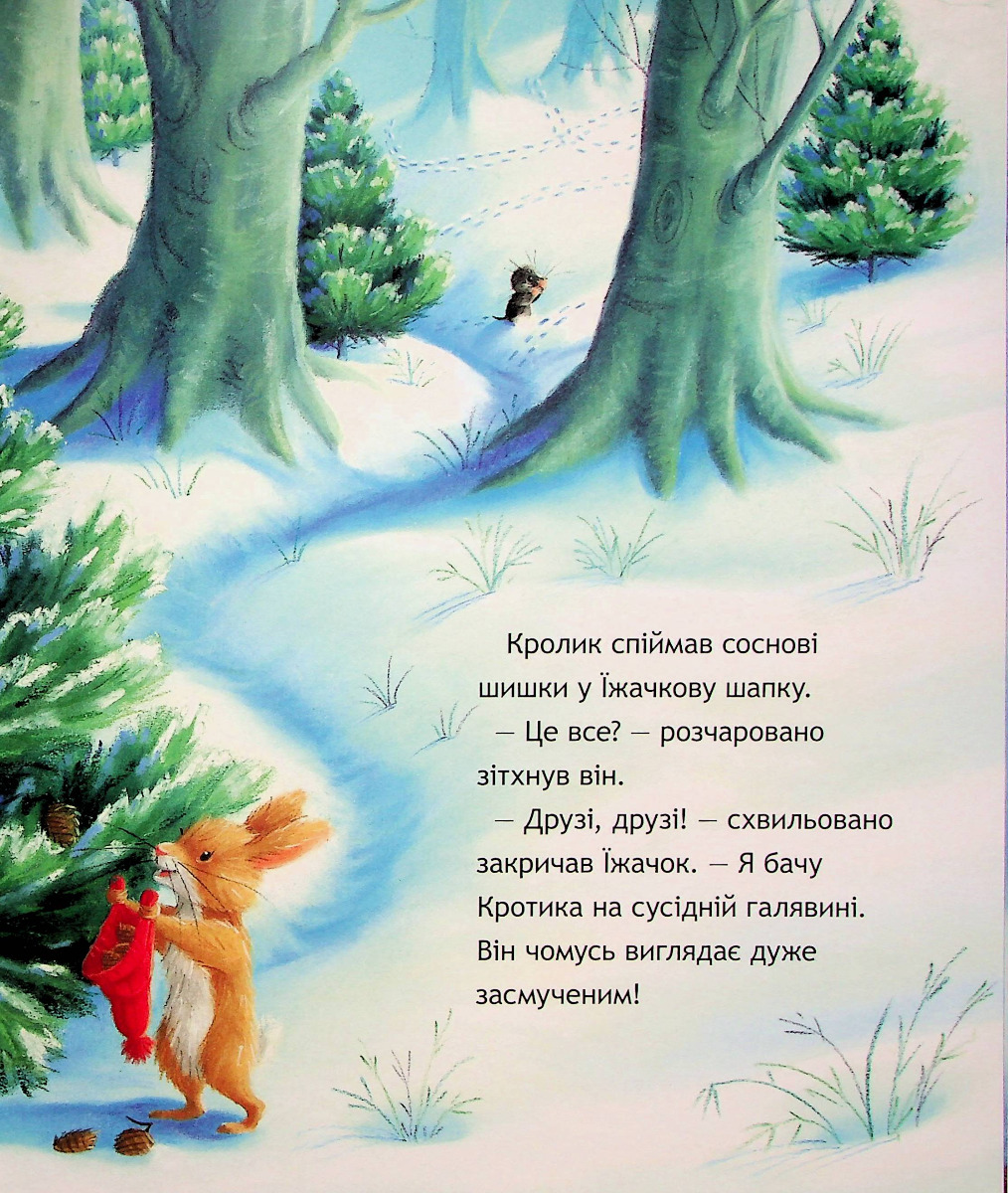 Hidden Product Image 8