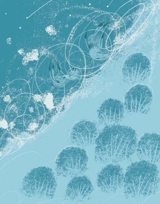 Hidden Product Image 9