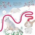 Фото Follow the Trail. Winter Wonderland. Take a Peek! Fun Finger Trails! 6