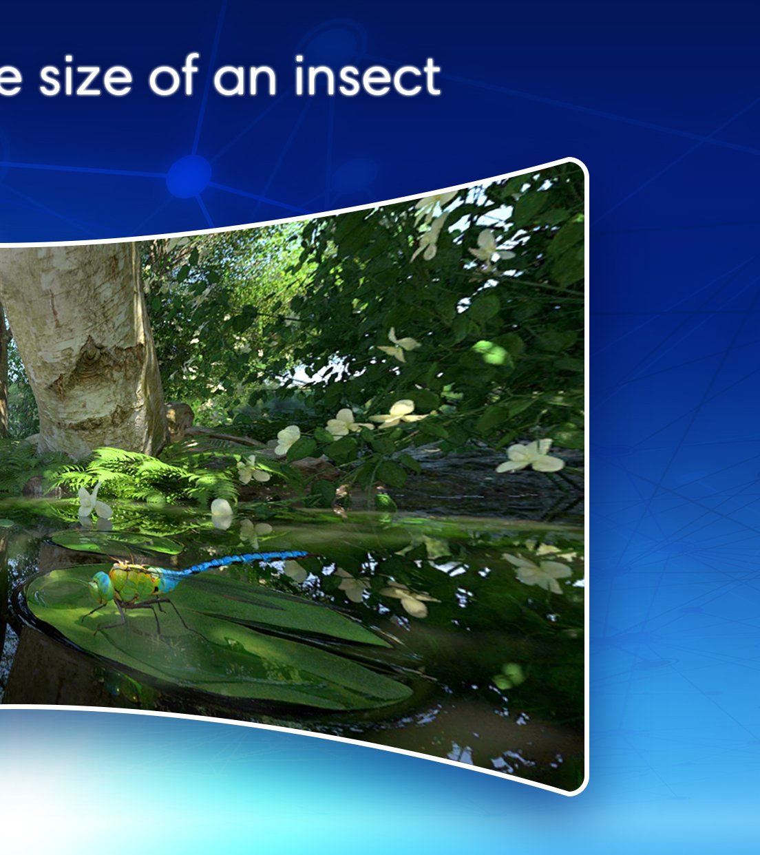 Hidden Product Image 8