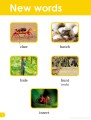 Фото Do You Know? Level 1 Animal Sounds. BBC Earth 3