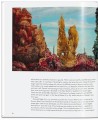 Фото Max Ernst 8