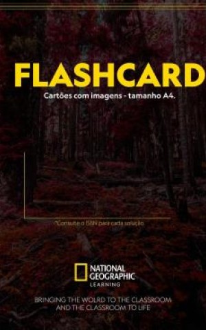 Our World 3. Flashcards