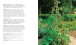 Фото 200 Veg-Growing Basics 4
