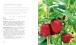 Фото 200 Veg-Growing Basics 5