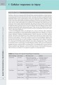 Фото Wheater's Basic Pathology: A Text, Atlas, and Review of Histopathology. International Edition, 5th Edition 5