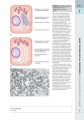 Фото Wheater's Basic Pathology: A Text, Atlas, and Review of Histopathology. International Edition, 5th Edition 8