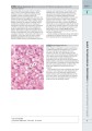 Фото Wheater's Basic Pathology: A Text, Atlas, and Review of Histopathology. International Edition, 5th Edition 10