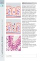 Фото Wheater's Basic Pathology: A Text, Atlas, and Review of Histopathology. International Edition, 5th Edition 13