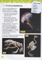 Фото Collins International Primary Science 4 Student's Book 3
