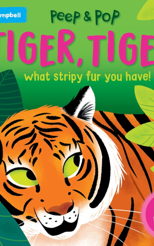 Tiger, Tiger, What Stripy Fur You Have!