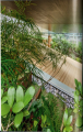 Фото Contemporary Japanese Architecture 5