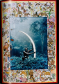Фото Peter Beard 7