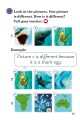 Фото Ladybird Readers. Level 3. Sharks 5