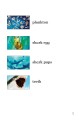 Фото Ladybird Readers. Level 3. Sharks 3