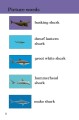 Фото Ladybird Readers. Level 3. Sharks 2