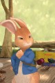 Фото Ladybird Readers. Level 1. Peter Rabbit: Goes to the Island 5