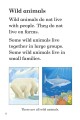 Фото Ladybird Readers. Level 2. Wild Animals 4