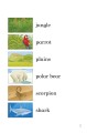 Фото Ladybird Readers. Level 2. Wild Animals 3