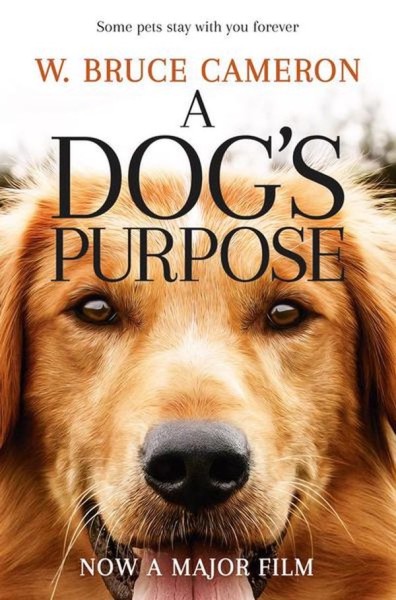 Фото A Dog's Purpose