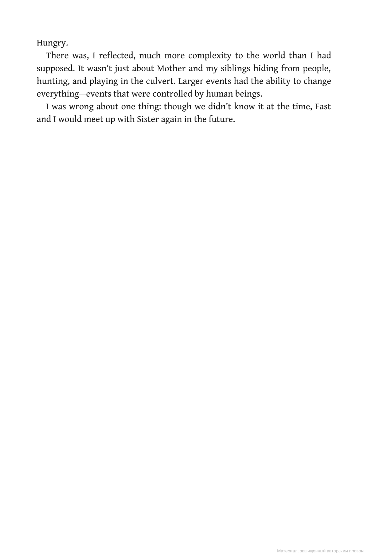 Hidden Product Image 10
